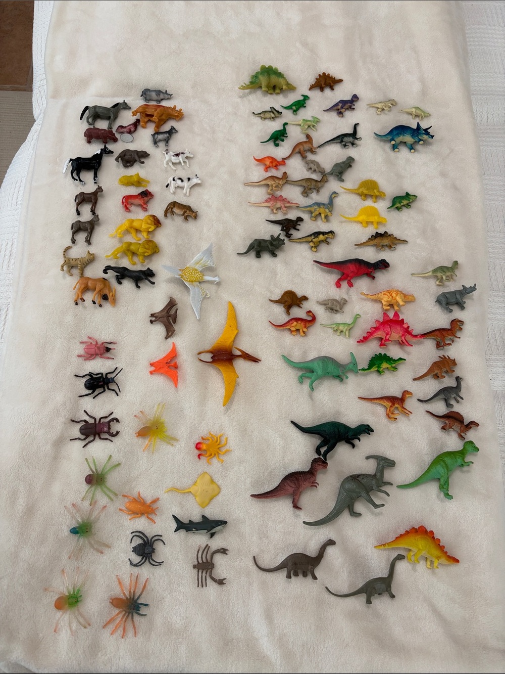 Mini Assorted Plastic Reptile & Animal Toy Set - Multicolor
